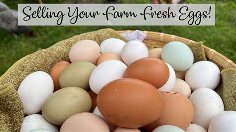 selling farm fresh eggs nda.